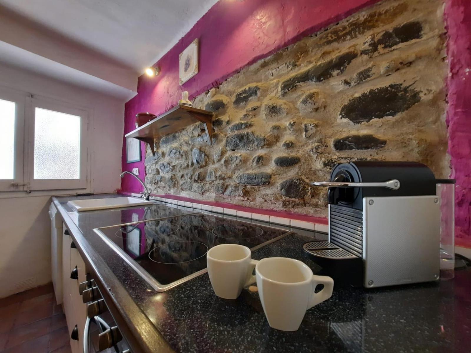 פובלה דה סגור Casa Rural Cal Rocco Porta Del Pirineu מראה חיצוני תמונה